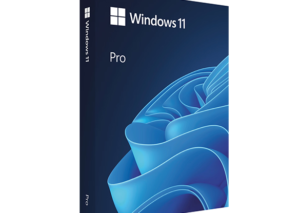 Windows 11 Pro – Direct geleverd – Inclusief installatiehandboek – 100% werkende activatie
