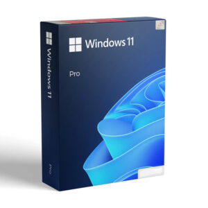 windows 11 pro key kopen